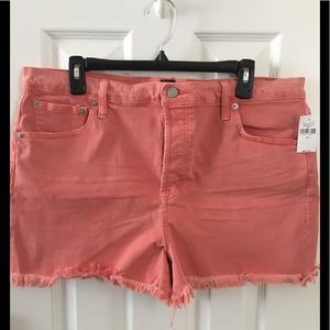 NWTS Gap denim frayed shorts
